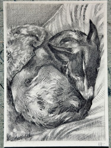 Aceo original graphite drawing - original,